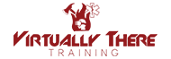 Virtually There Training Logo